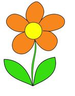 Beautiful drawing of the orange and white flower with green leaves, at white background