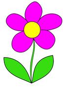 summer flower with pink petals as a drawing