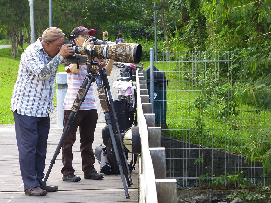 Photographers Photography Camera