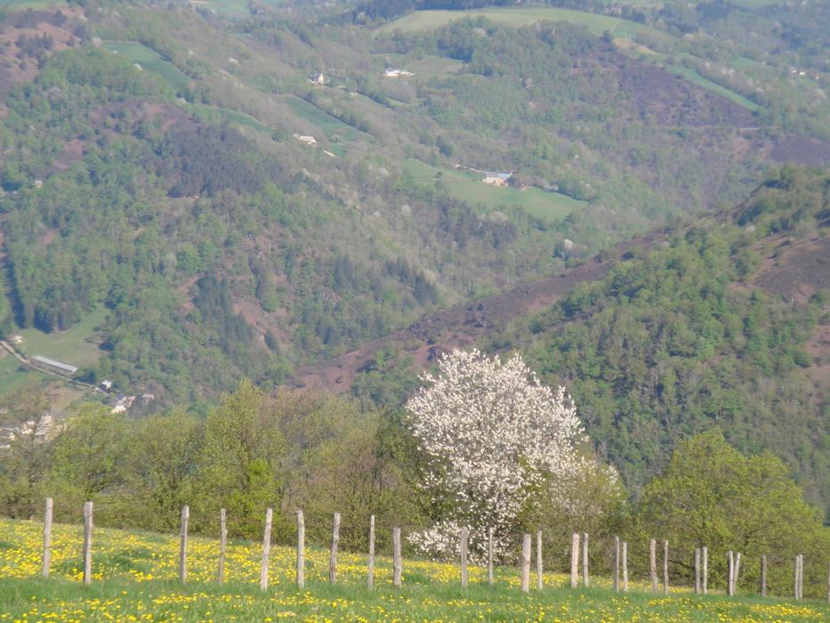 Valle Of The Lot Cantal