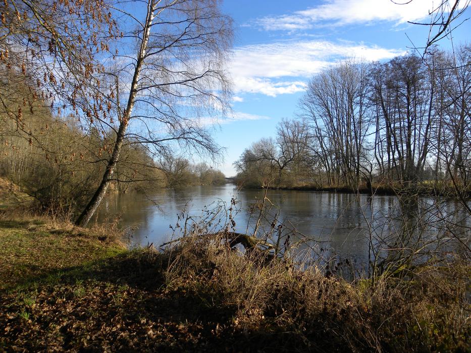 Danube Rottenacker landscape