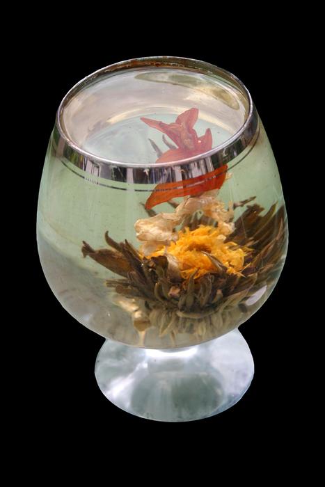 Flowering tea in Glass close up