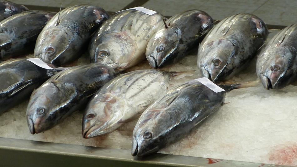 Fish Market Fischtheka