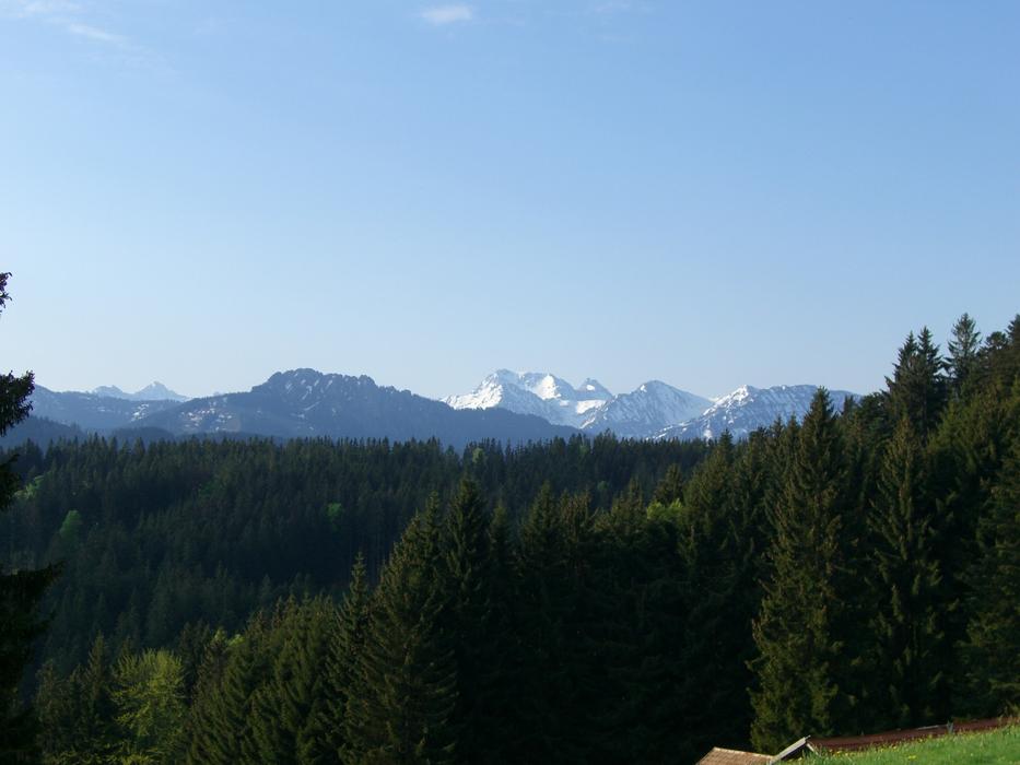 Sorg Schrofen Alpine Panorama
