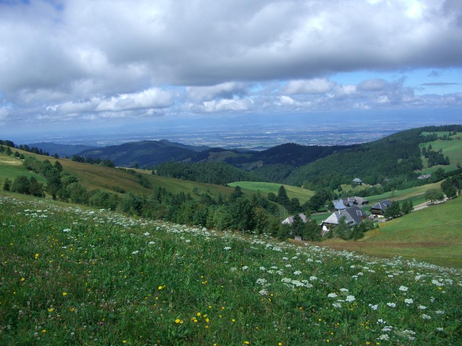 Tseringerhof Munstertal Rhine