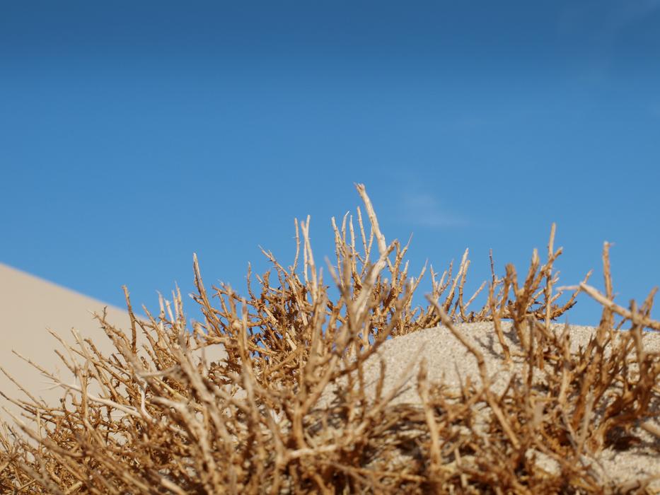 Desert Sand Sky