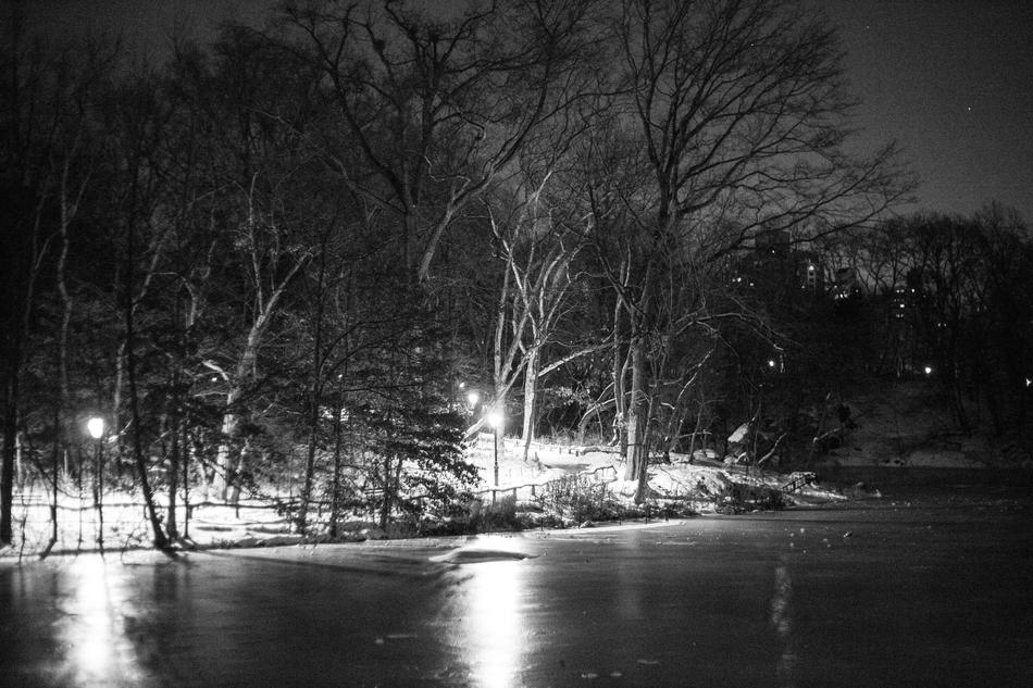 Central Park Night Shade Black And