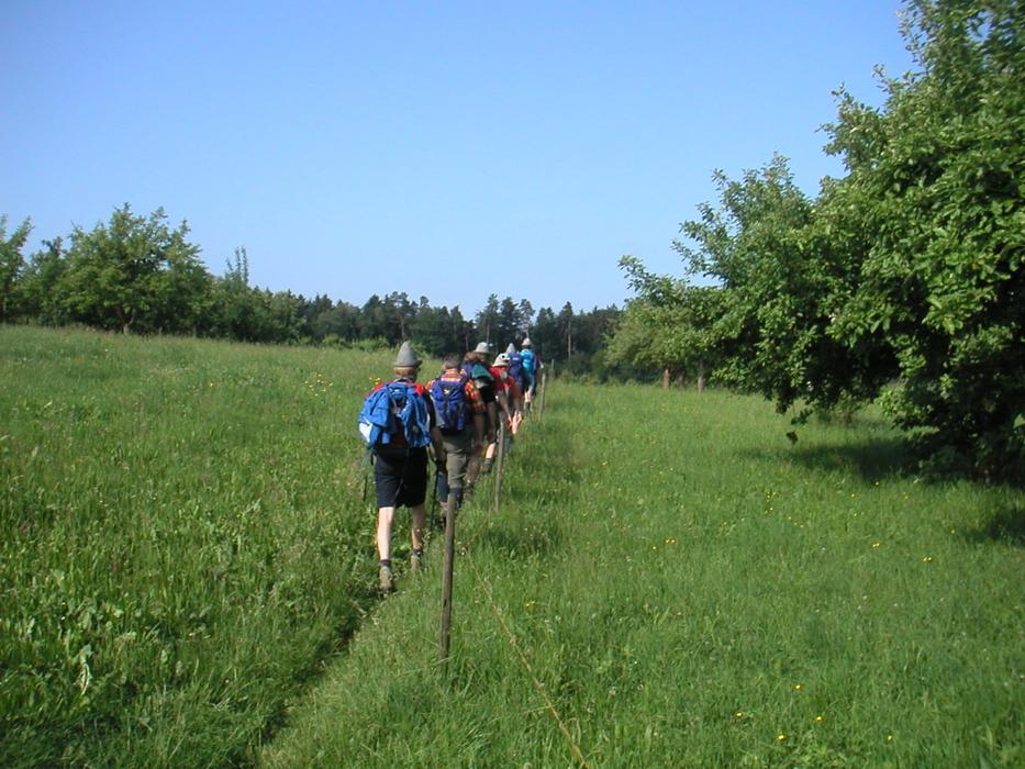 Single File Wanderer Meadow Path