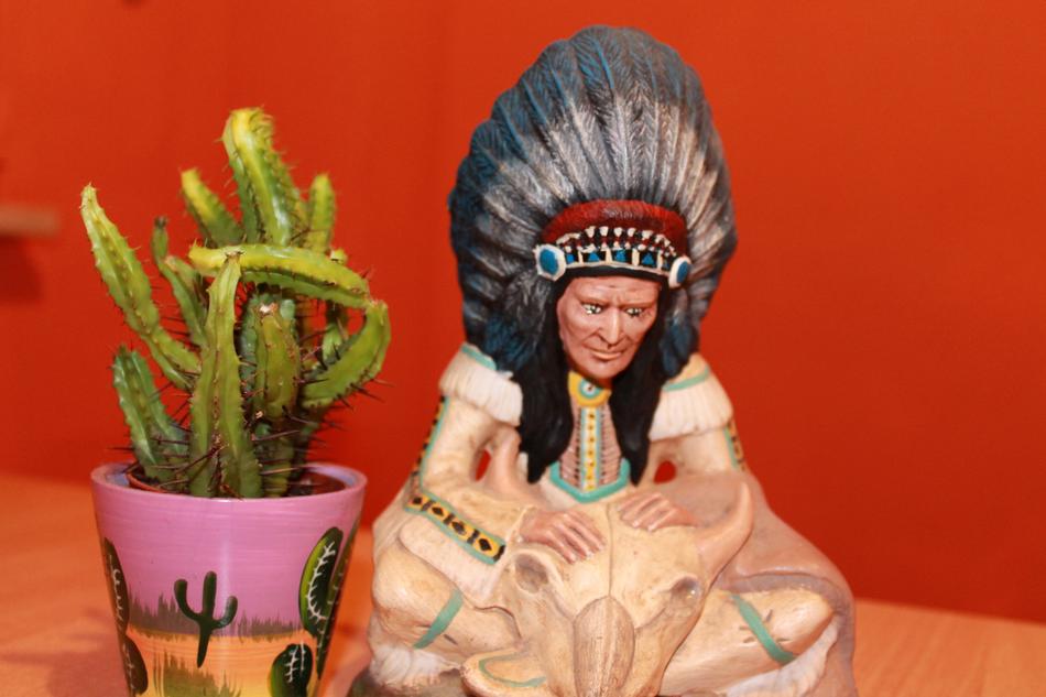 Cactus Indians Chief