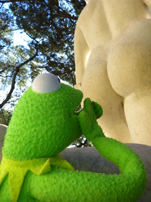 Kermit Frog Amazed