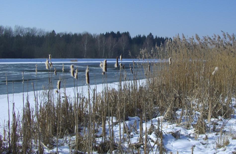 Danube Winter Snow