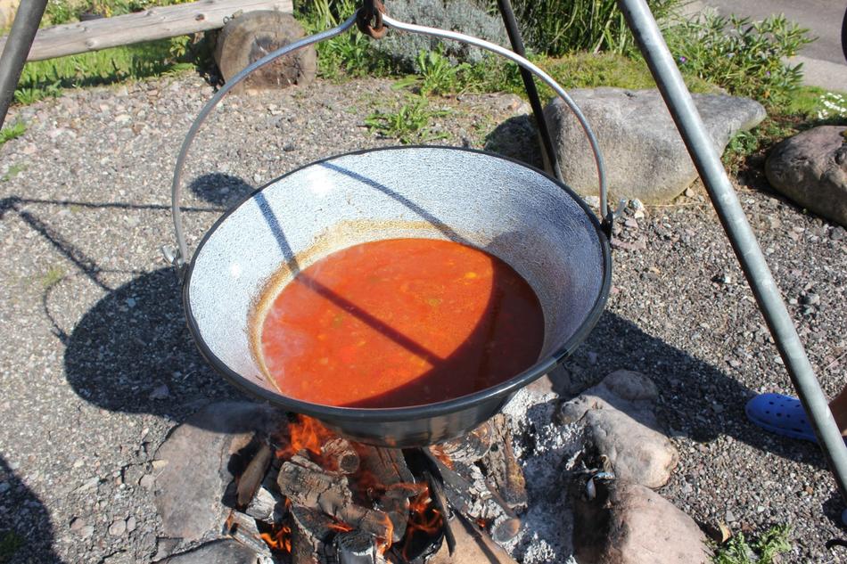 Goulash Soup Fireplace Fire