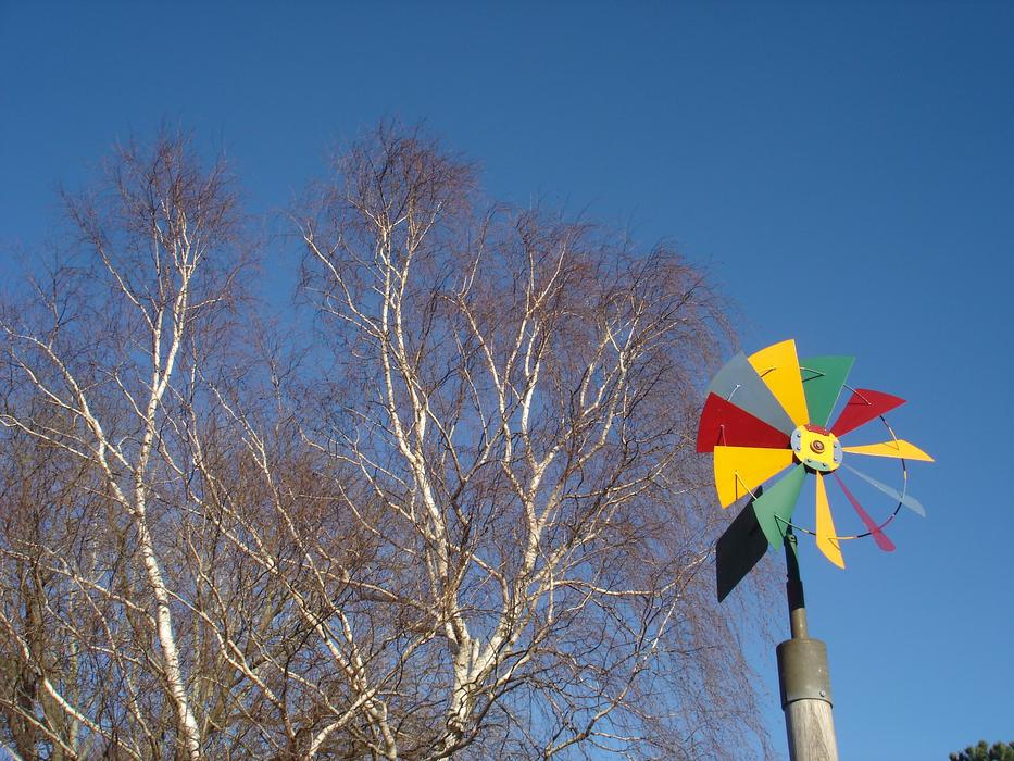pinwheel and birch on blue sky background