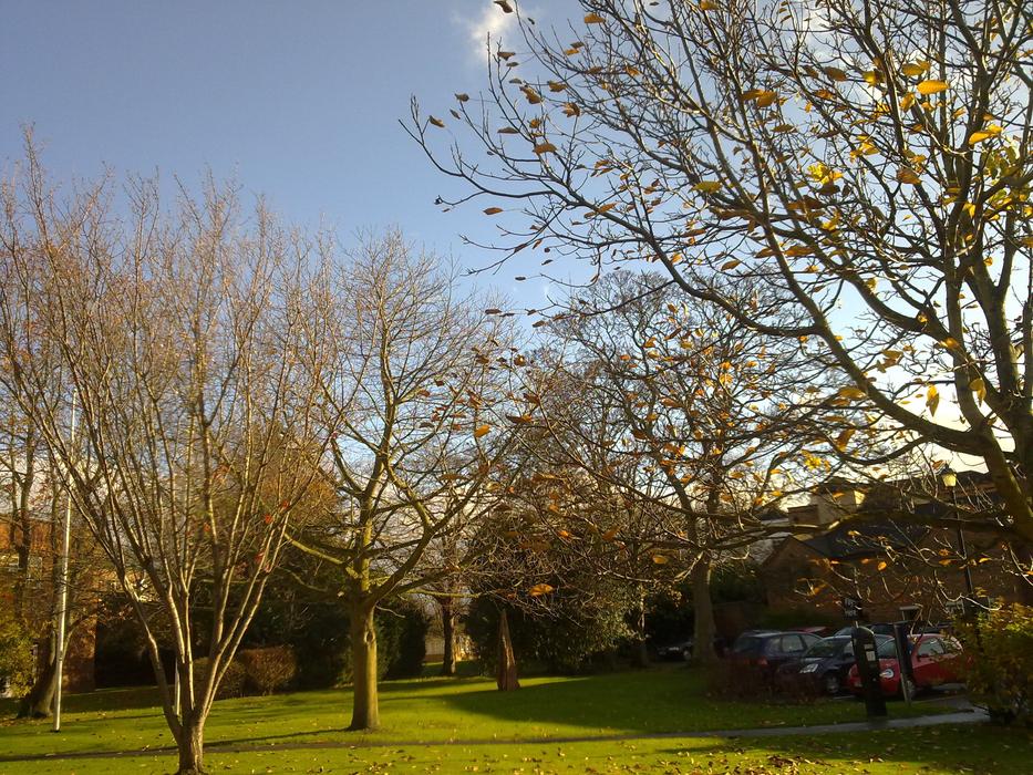 Park Garden Worcester