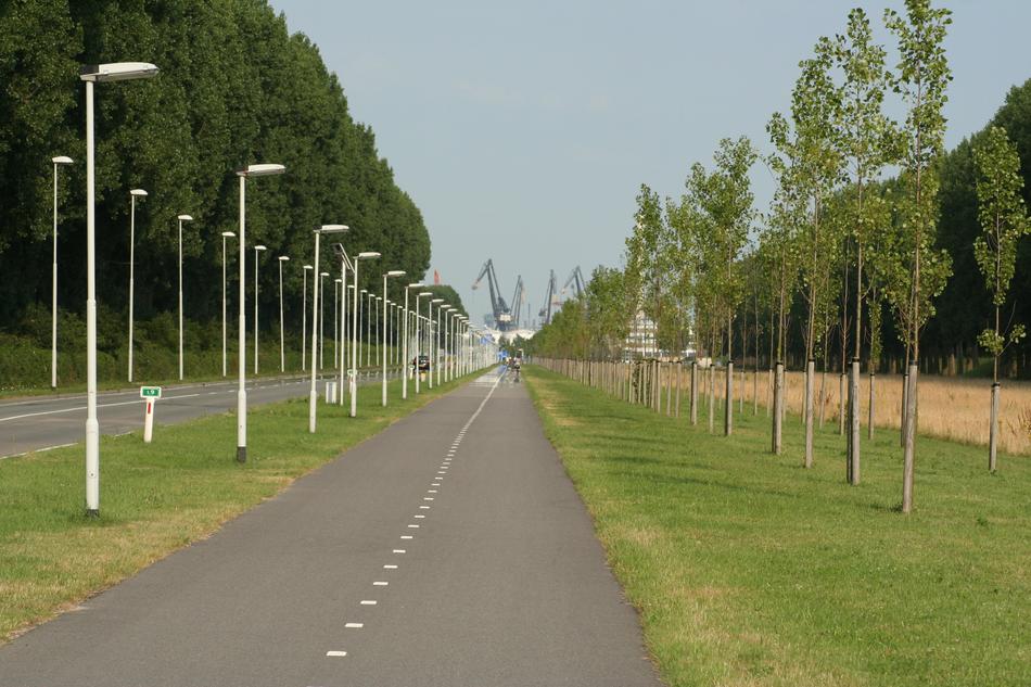 Rozenburg South Holland Tight