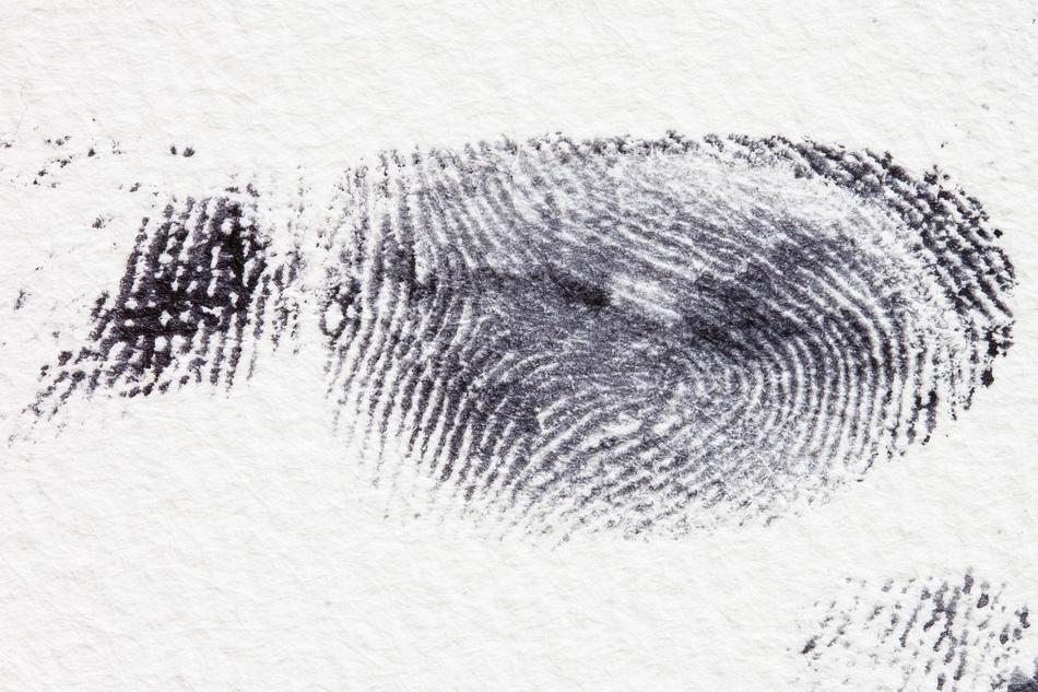 fingerprint on paper