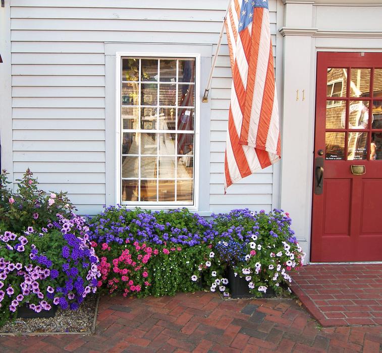 Flowers Seasonal Ornamental