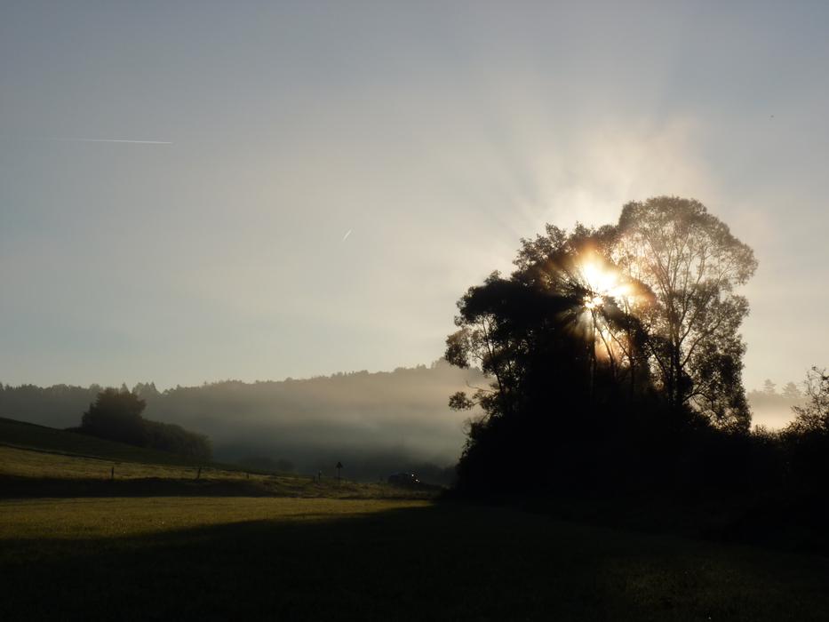 Sunrise Light Shadow