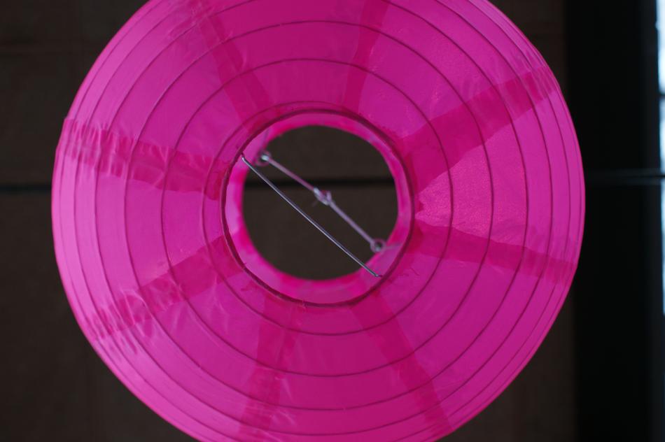 Pink Lantern Designs