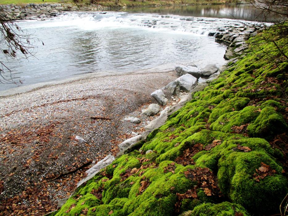 River Waterfall Bank
