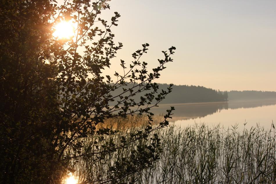 Morning The Sun Saimaa