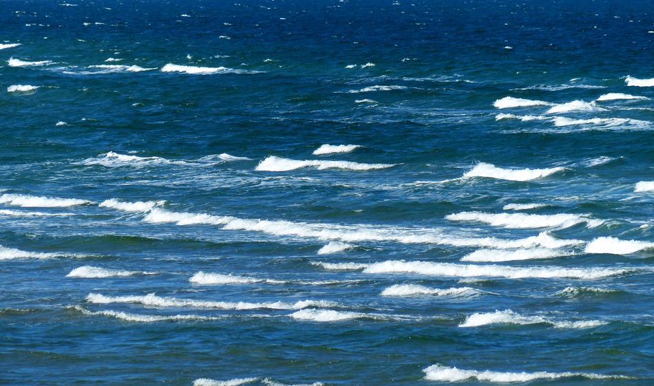 Wave Crest Surf