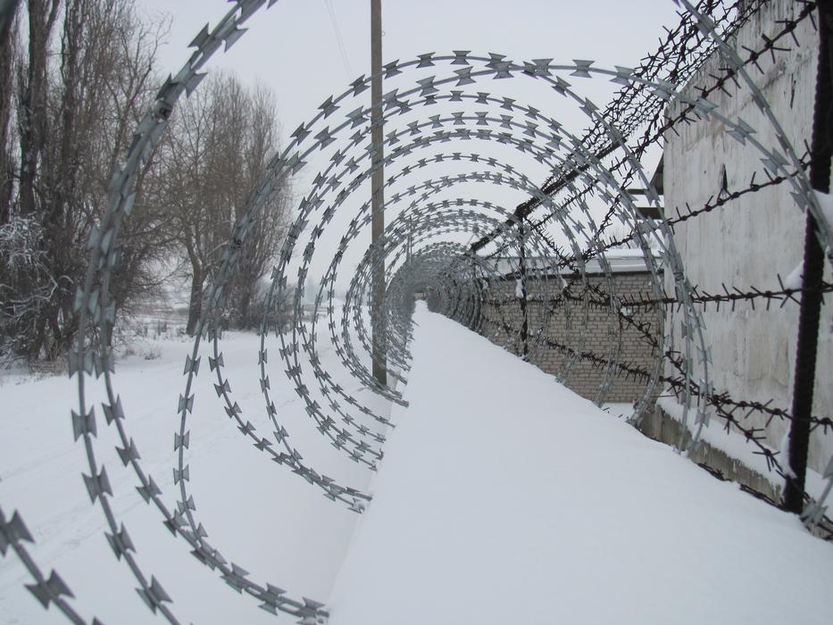 Barbed Wire Winter