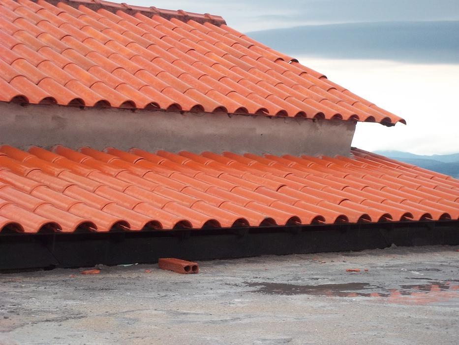 Roof High
