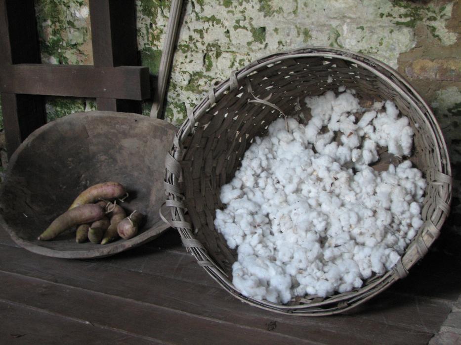 Cotton Yams