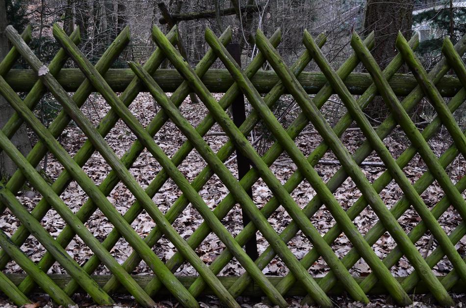 Fence Roof Old
