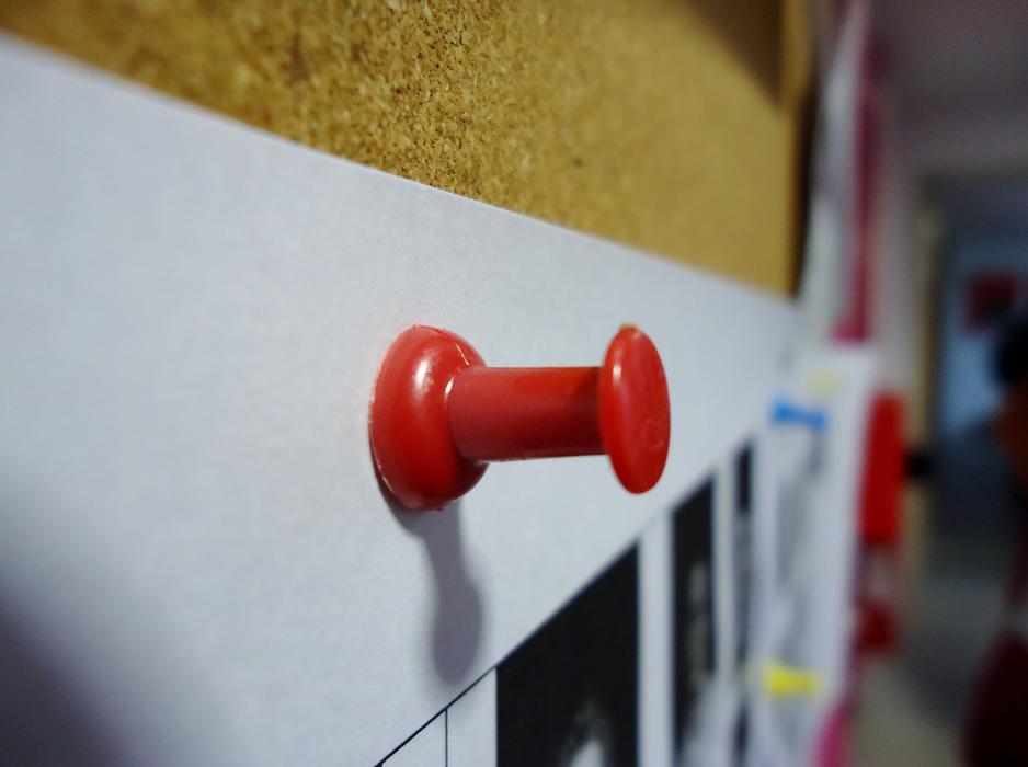 Bug Red Paper clip