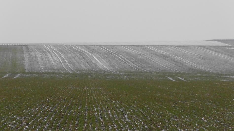 Field Autumn Season