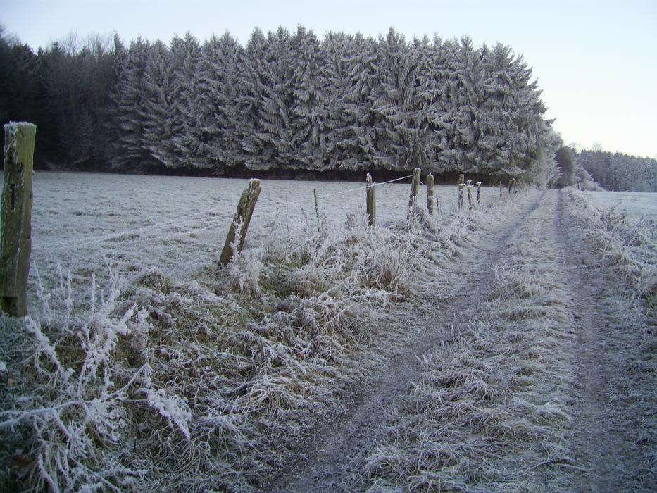 Winter Away Iced