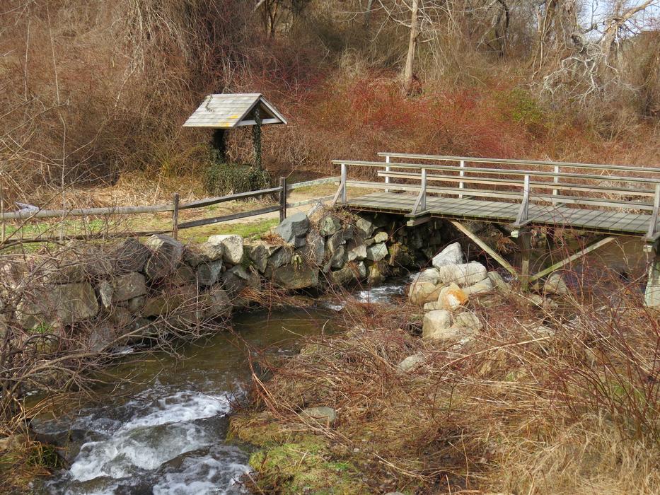 Water Stream Herring Run