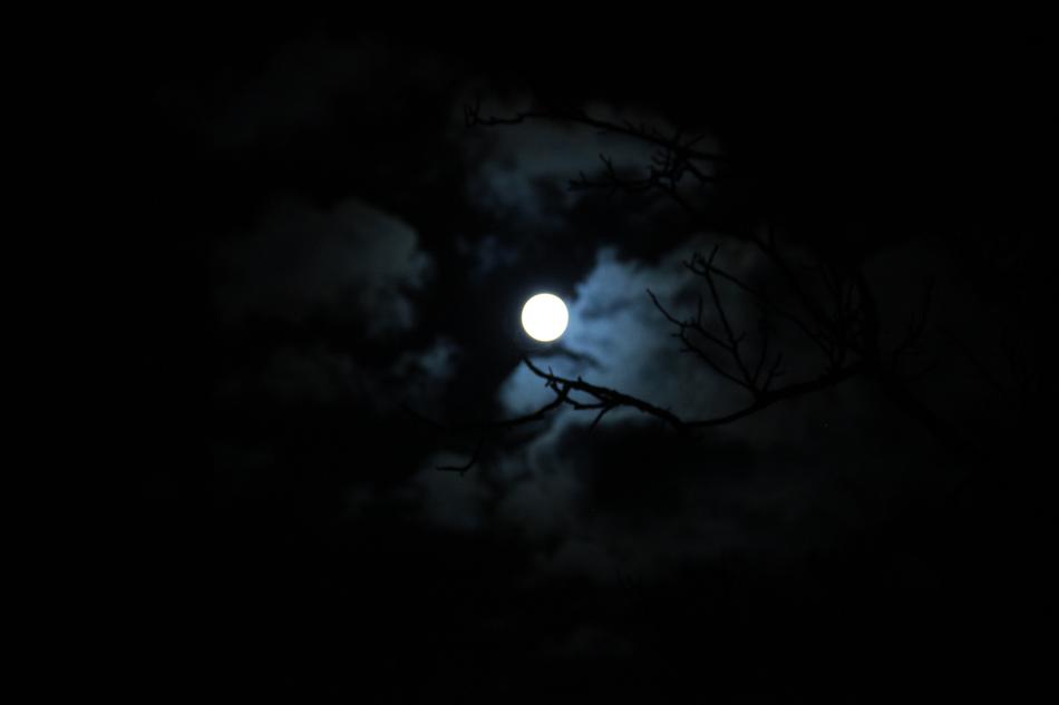 At Night Moon Full