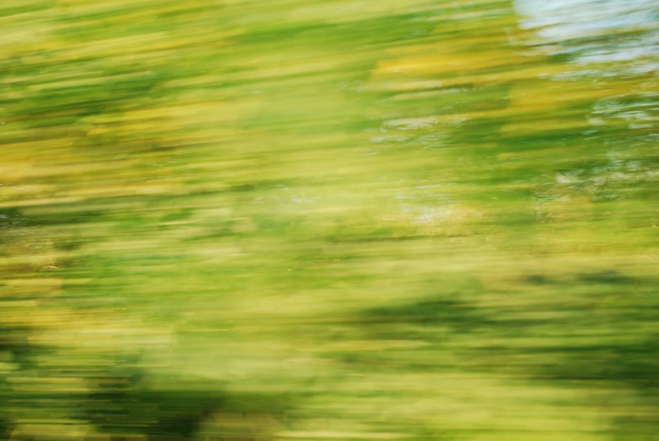 Speed Colors Rush