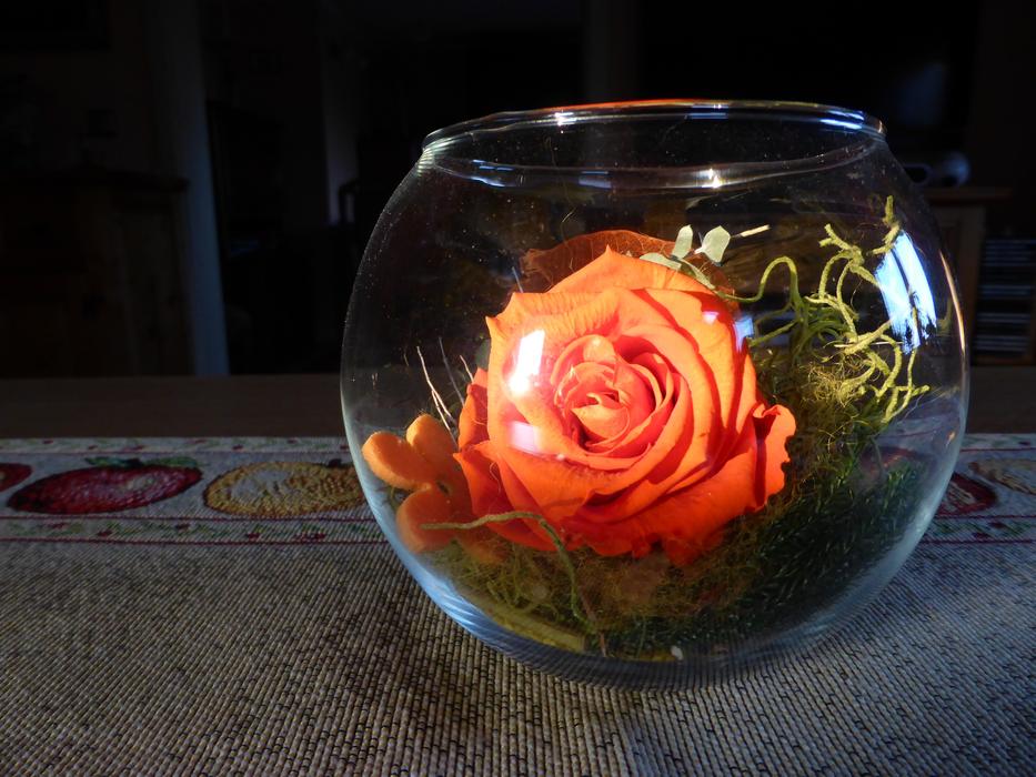 Rose Glass Sun Light