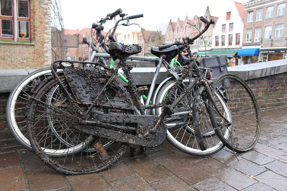 Bike Wrecks