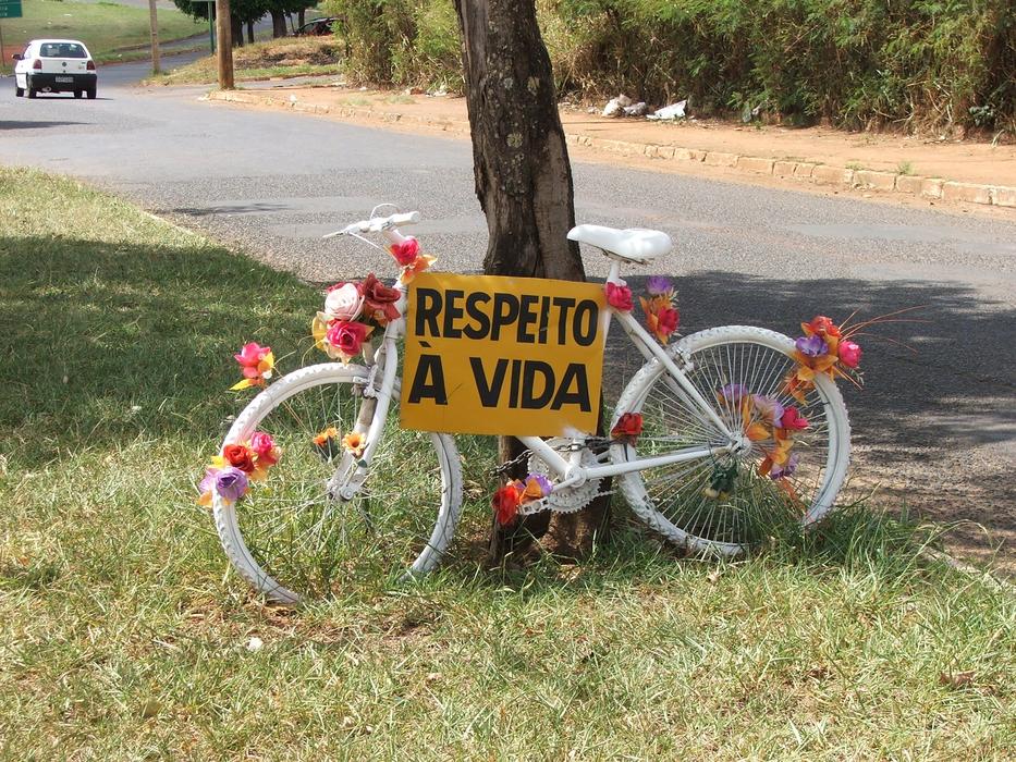 Respect Bike Path Security Two