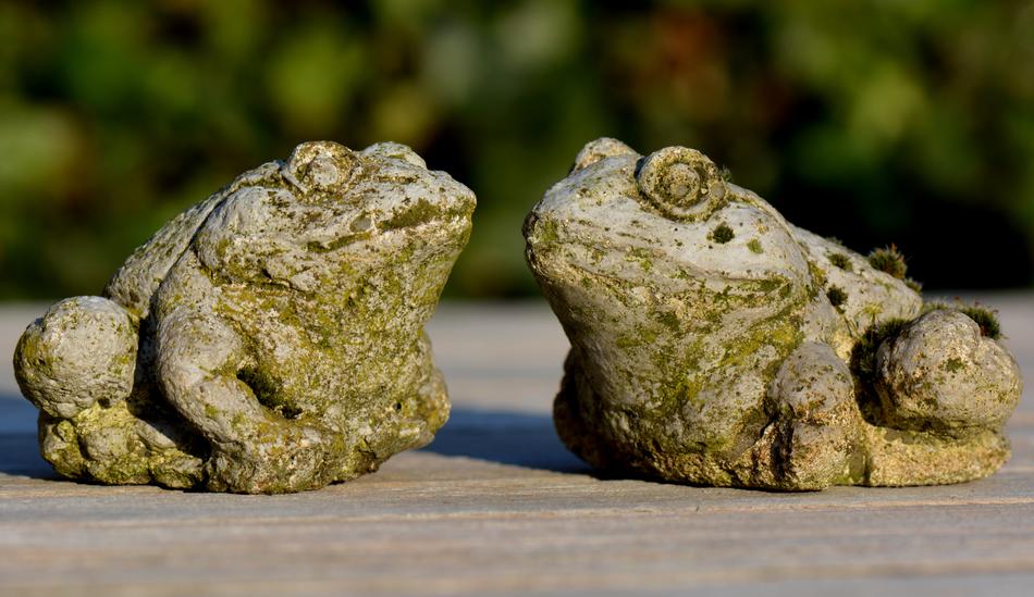 stone Frogs decorations