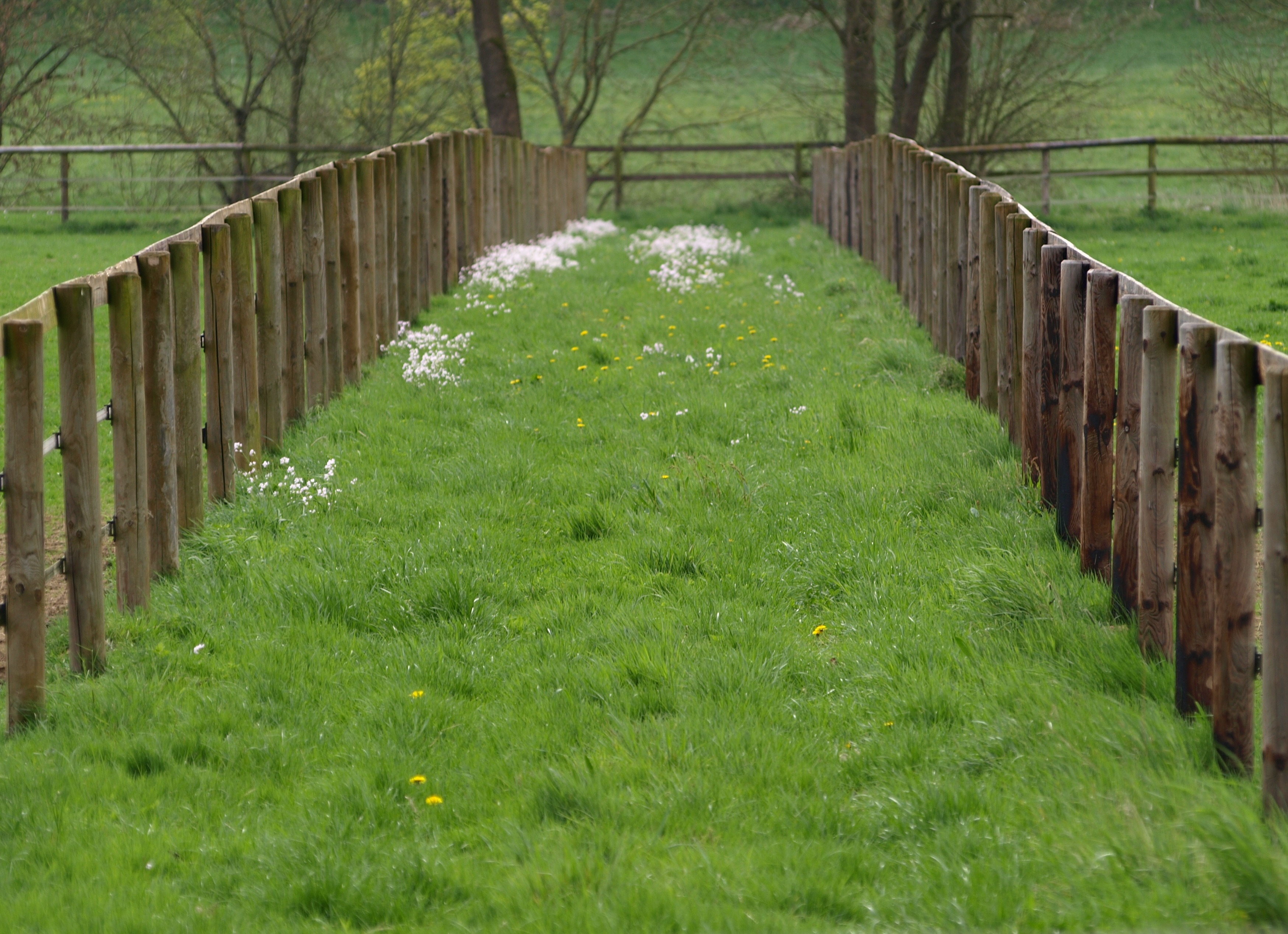 Wood Fence Paddock free image download