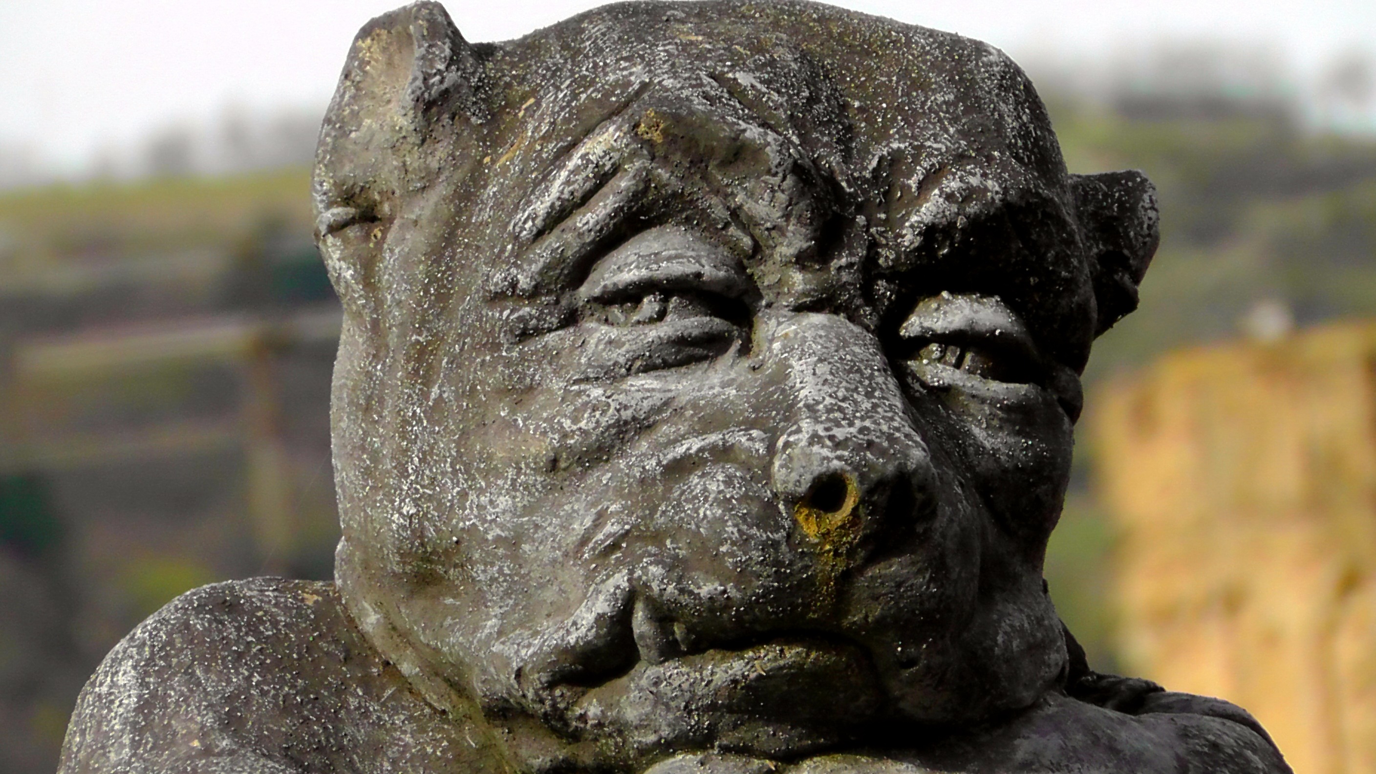 Видео каменные лица. Статуя Каменное лицо. Каменная голова. Камень с лицом. Каменная фигура лица.