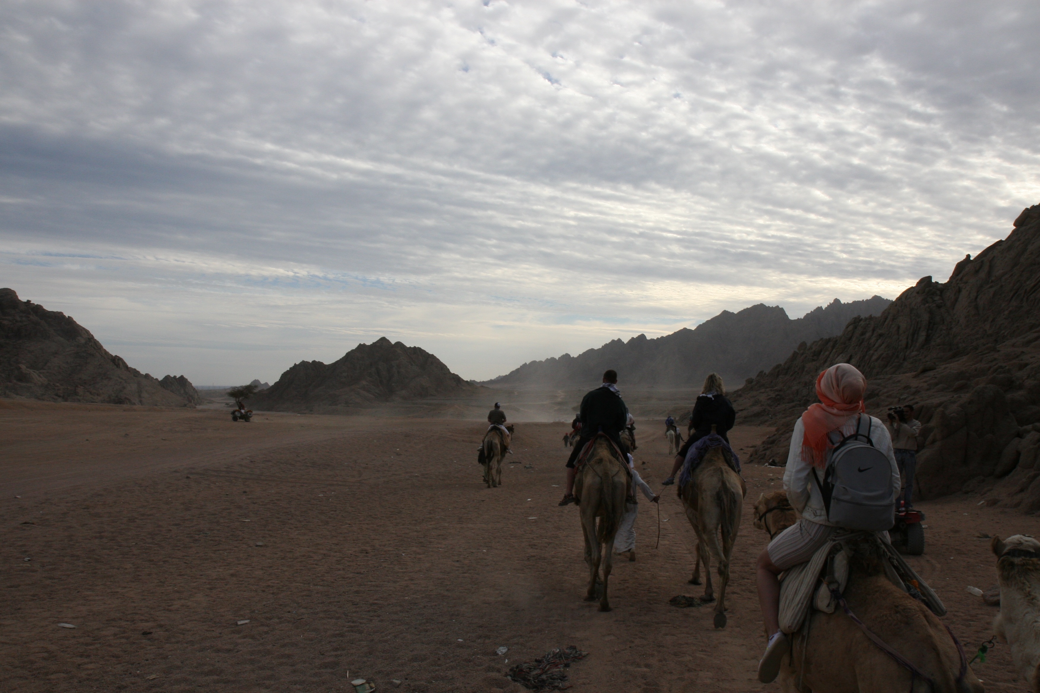 Riding Camel Egypt free image download