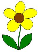 flower yellow spring drawing