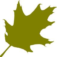 oak leaf green silhouette