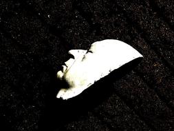 Plaster Head Mask Face