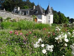 Loire Valley Castle landscape