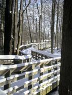 Walkway Path Wooden Rails