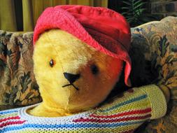 Teddy Bear Yellow Hat