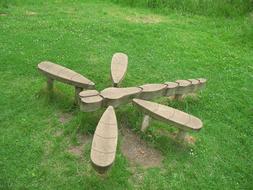 Dragonfly Field Wood